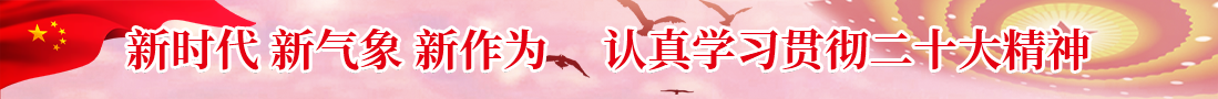 新時代新氣象新作為認真學習貫徹二十大精神